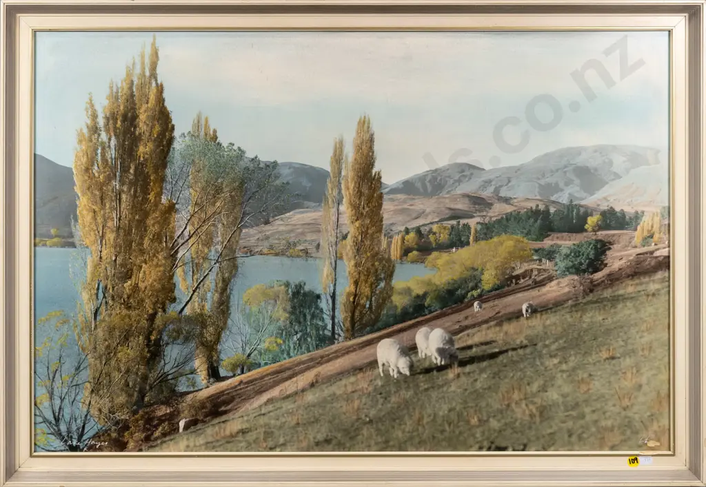 framed Whites Aviation hand coloured photograph "Lake Hayes" H-490 W-740 (some overall aging, deep scratch to signature) Image 1++