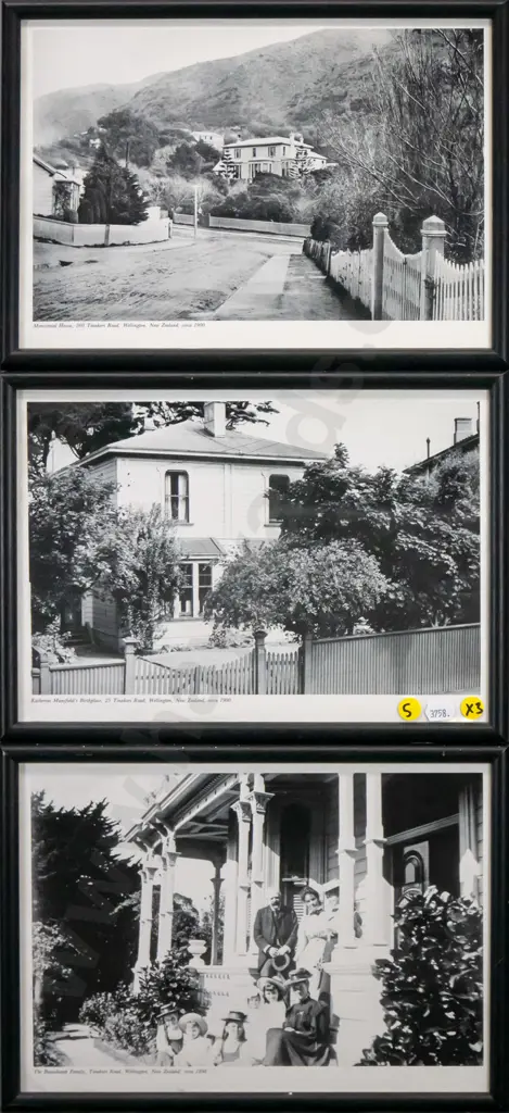 3x framed digital photo print - Wellington scenes circa 1900 Each H-175 W-270 Image 1++