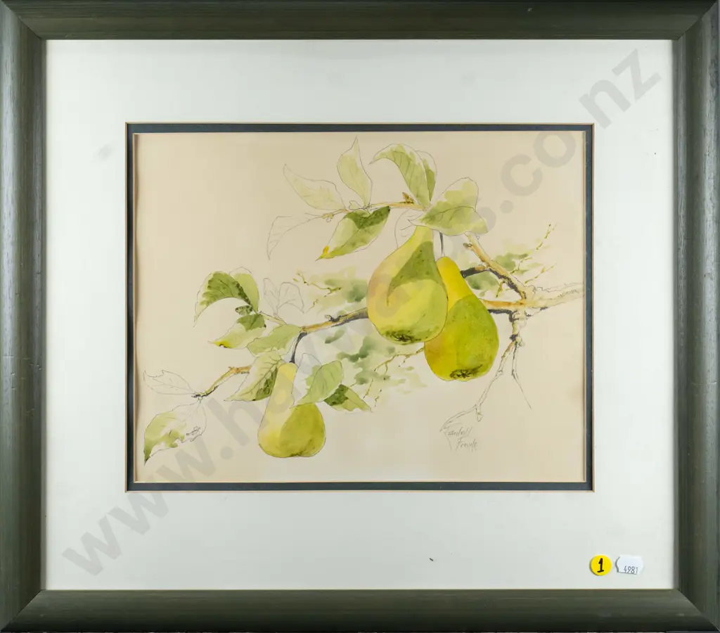 Randall Froude - framed watercolour - pears on branch H-240 W-310 Image 1++
