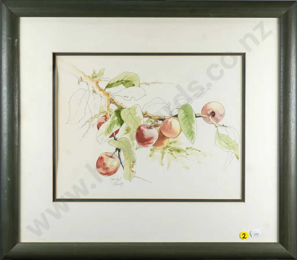 Randall Froude - framed watercolour - apples on branch H-240 W-310 Image 1++