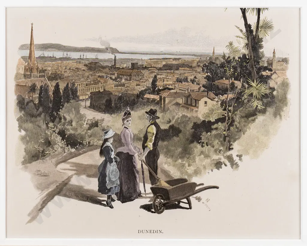framed hand coloured engraving "Dunedin" H-145 W-190 Image 1++