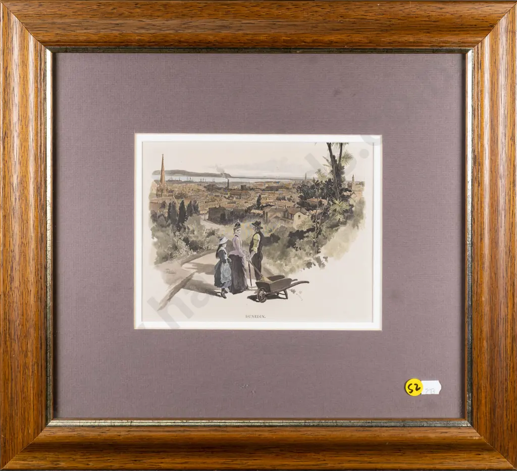 framed hand coloured engraving "Dunedin" H-145 W-190 Image 1++