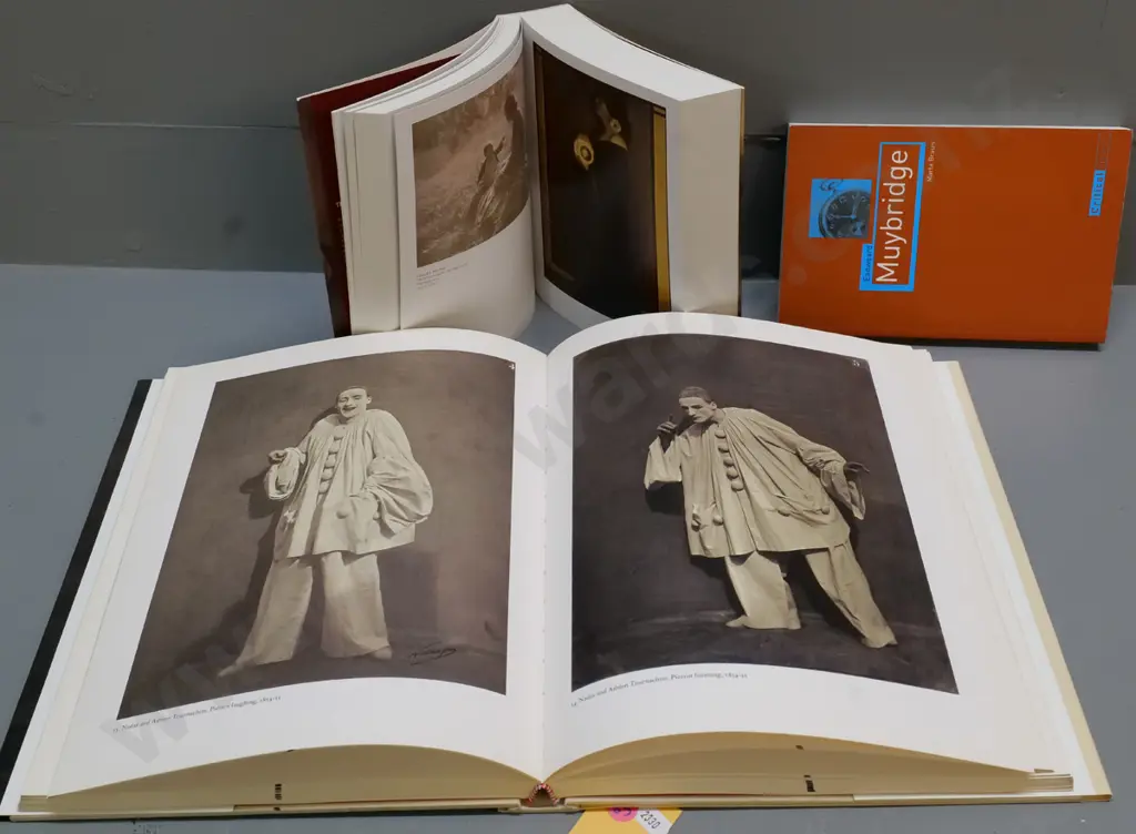 3 photo books - Nadar, pub 1995, Alfred Stieglitz Camera Work complete (small edition) and Edweard Muybridge biography Image 1++