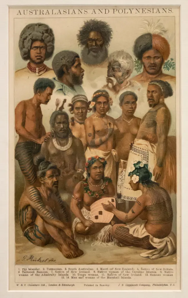 mounted chromo-lithograph "Australasians and Polynesians" H-230 W-130 Image 1++