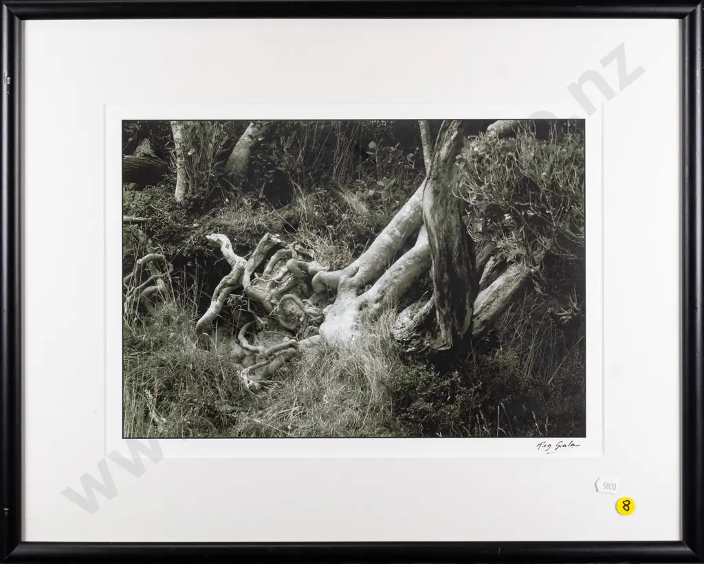 framed photograph "Jack's Bay 2005" H-270 W-370 Image 1++