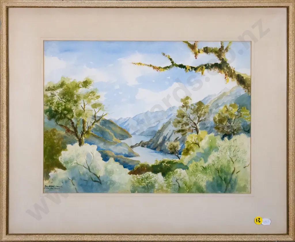 unsigned - framed watercolour  "Doubtful Sound from the track" H-260 W-360 Image 1++