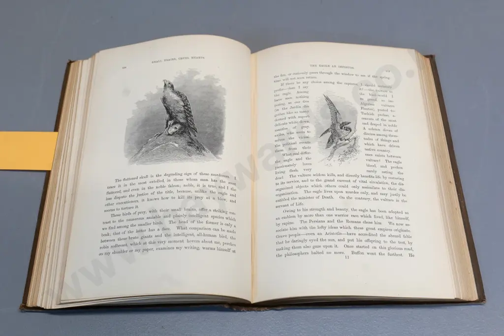 1883 book - The Bird by Jules Michelet, with 1894 Waitaki Girls' prize presentation bookplate Image 1++