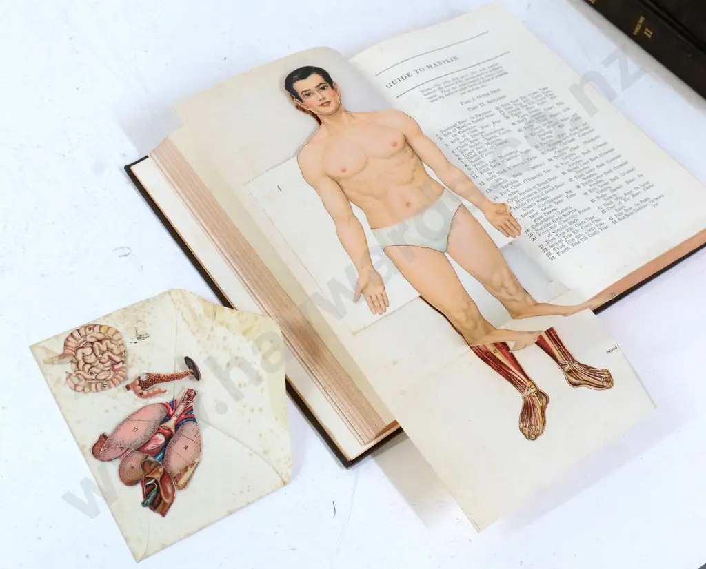5 volumes from larger set of 8 Encyclopedia of Health - McFadden 1933, some pieces separated from anatomy die cuts Image 1++