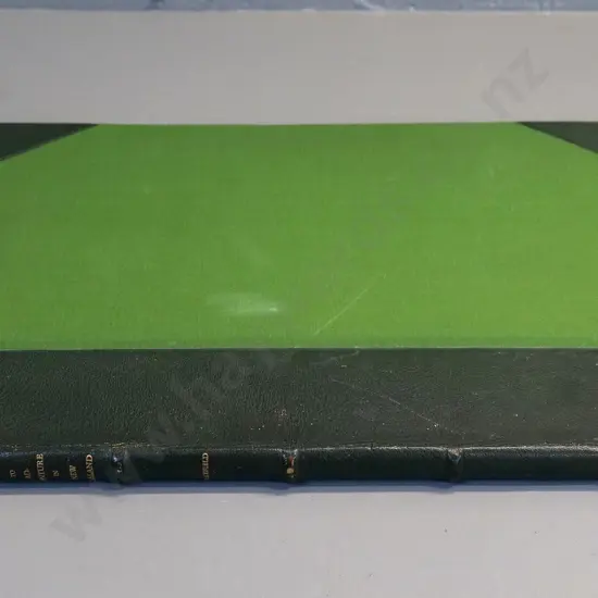 1968 facsimile edition - Illustrations to Adventure in New Zealand,  AH & AW Reed - foxing and staining