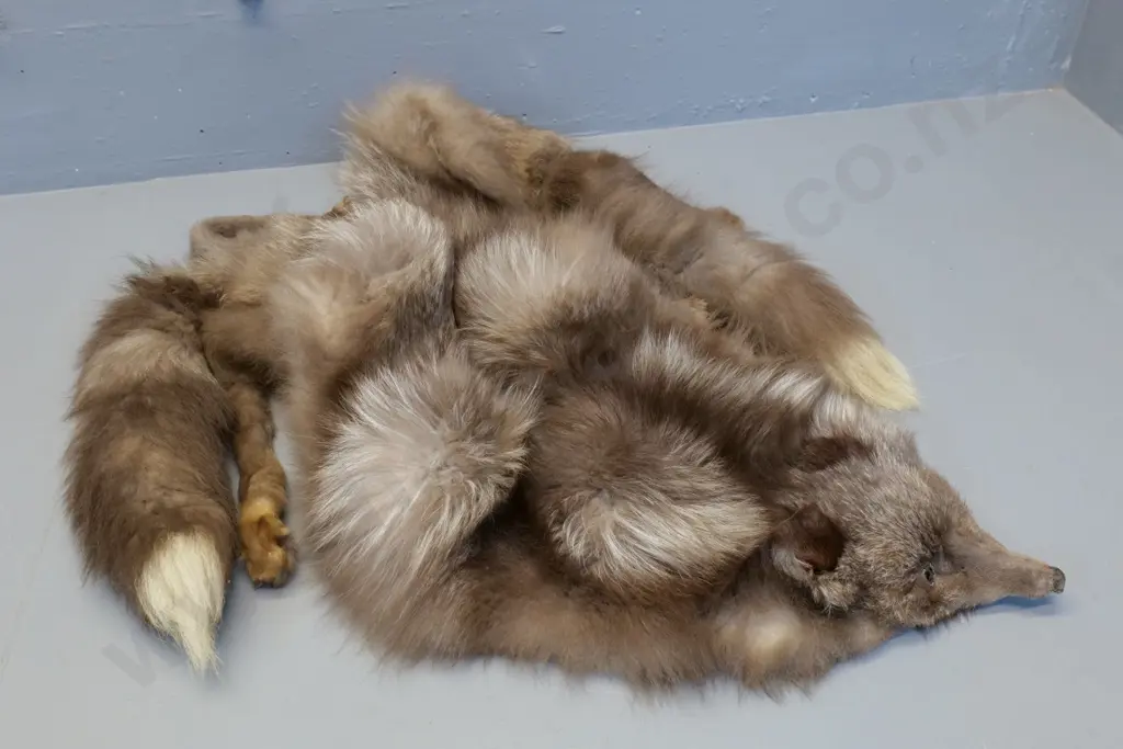 vintage fox fur Image 1++