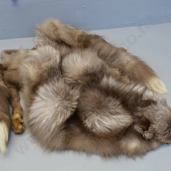 vintage fox fur