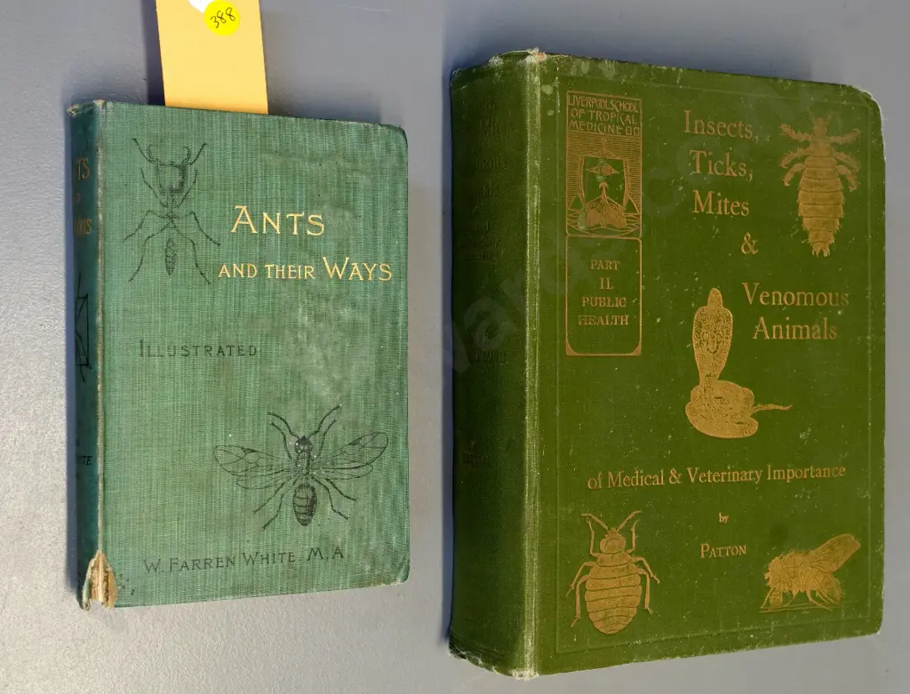 2 books: 1895 Ants & Their Ways and a 1931 volume on pest insects, part II only - both with wear, Image 1++