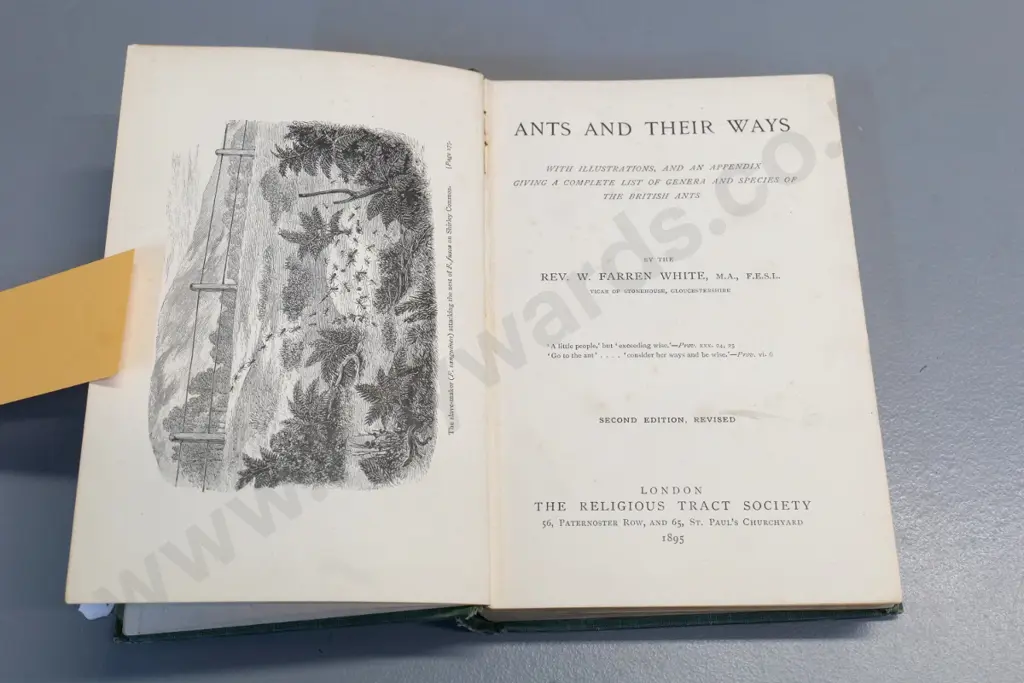 2 books: 1895 Ants & Their Ways and a 1931 volume on pest insects, part II only - both with wear, Image 1++