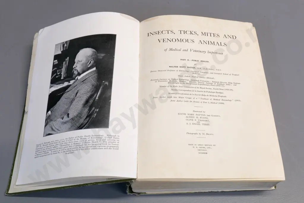 2 books: 1895 Ants & Their Ways and a 1931 volume on pest insects, part II only - both with wear, Image 1++