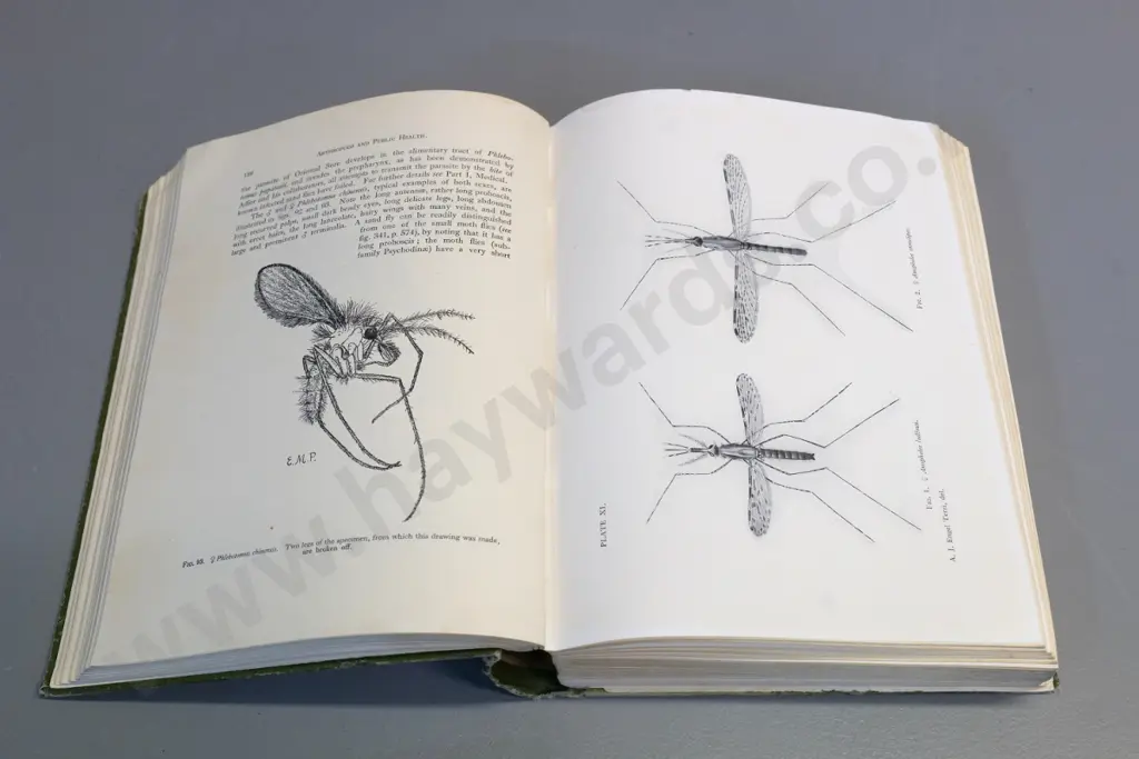 2 books: 1895 Ants & Their Ways and a 1931 volume on pest insects, part II only - both with wear, Image 1++