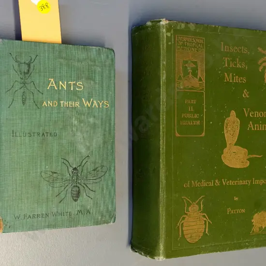 2 books: 1895 Ants & Their Ways and a 1931 volume on pest insects, part II only - both with wear,