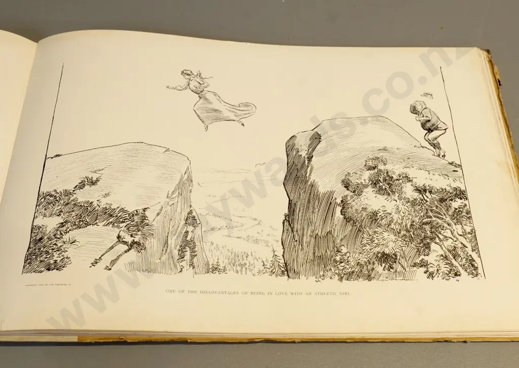 large book - The Social Ladder by Charles Dana Gibson, pub. 1902 - some wear and discolouration Image 1++