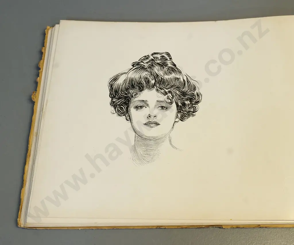 large book - The Social Ladder by Charles Dana Gibson, pub. 1902 - some wear and discolouration Image 1++