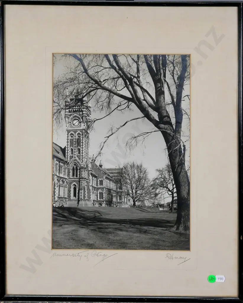 framed vintage black and white photograph - University of Otago H-340 W-240 Image 1++