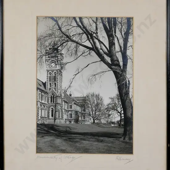 framed vintage black and white photograph - University of Otago H-340 W-240