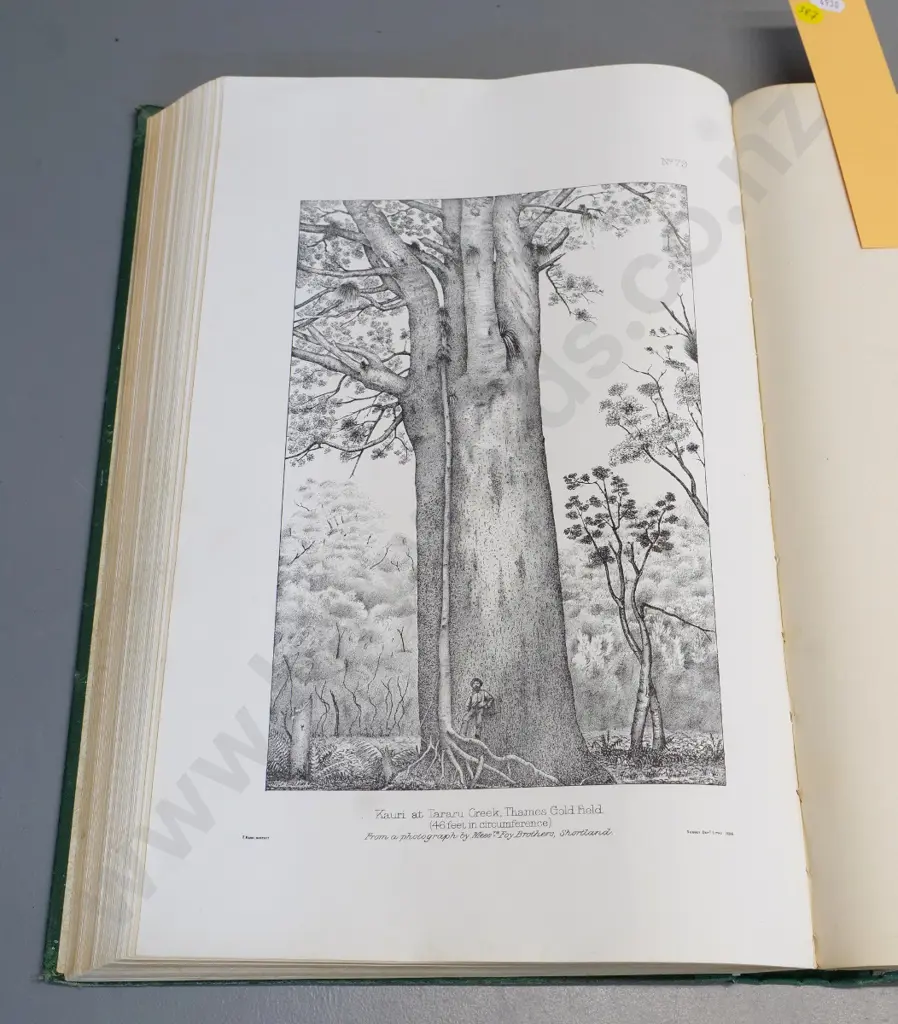 1889 book: 'The Forest Flora of New Zealand' by T. Kirk - ex Cawthron Institute library - some foxing & wear Image 1++