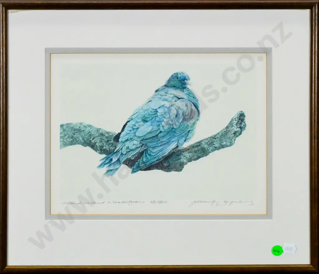 Merrilyn Jaquiery - framed ltd edition print 121/250 "New Zealand Woodpigeon" H-220 W-290 Image 1++