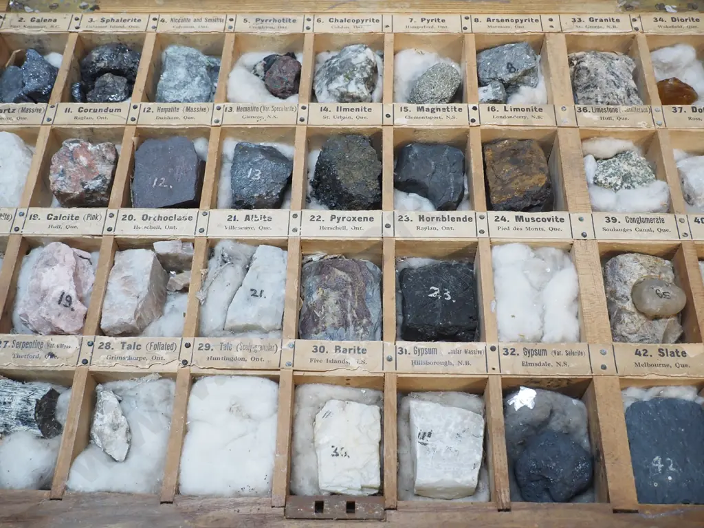 vintage large wood-cased collection of mineral samples from Canada - all labelled. Case H80 W680 D400 Image 1++