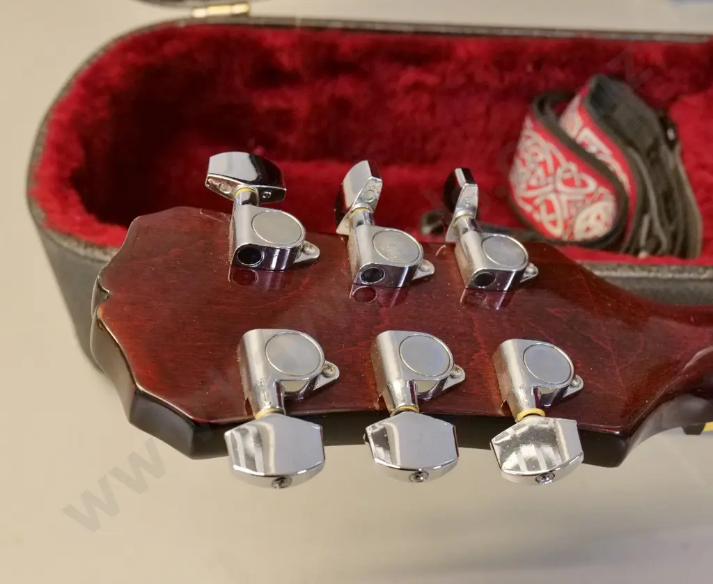 Epiphone 335-style electric guitar, no label/serial, age unknown, scratchy pots need attention, w./case, Vox Amplug2 etc Image 1++