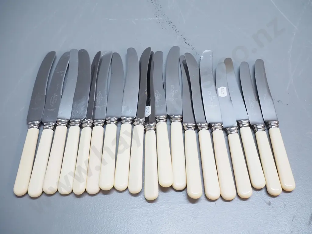 19 bone-handled knives - 15 are dinner knives, various makers, not a matching set Image 1++