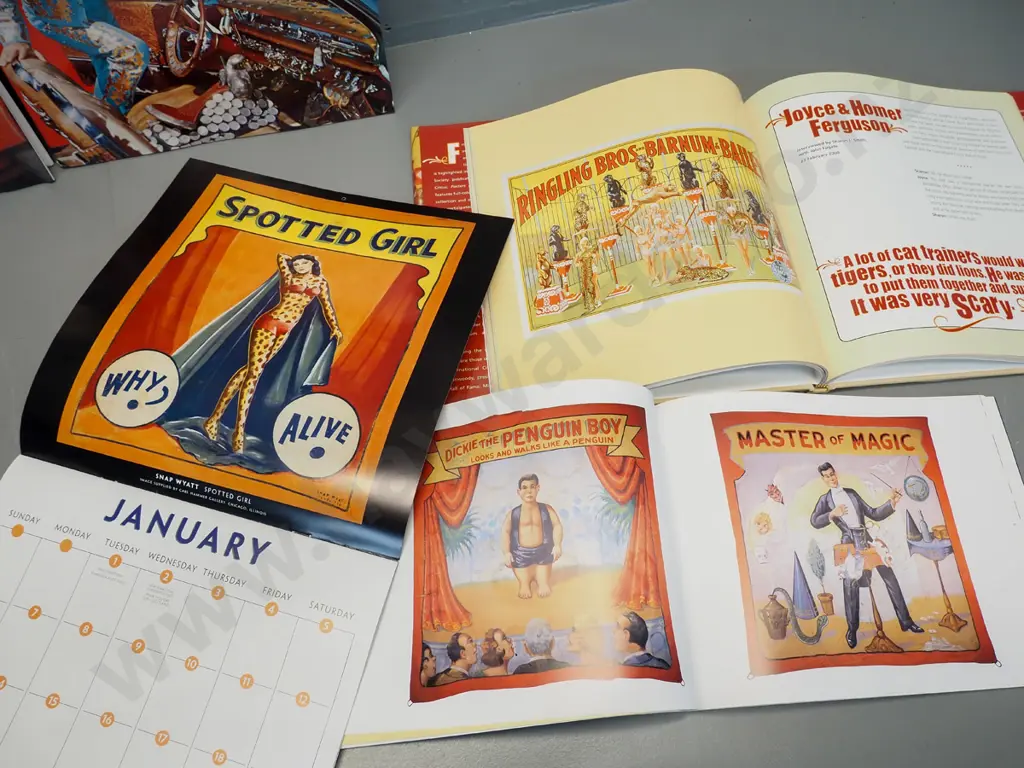4 books and a pictorial calendar - circus life, sideshow freak posters, pulp fiction & country music album covers Image 1++