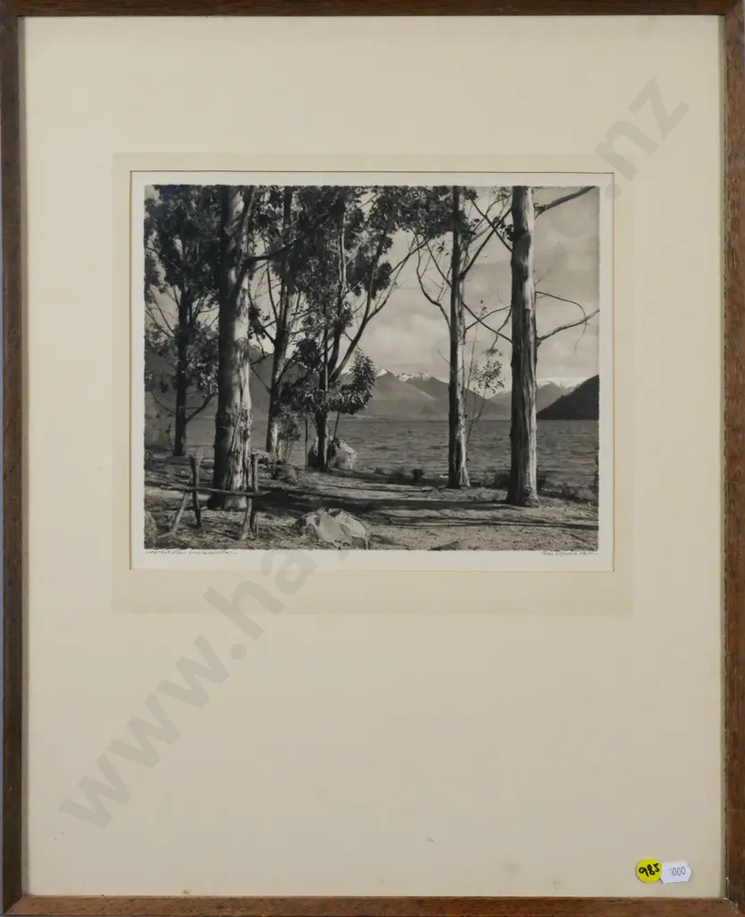 framed vintage George Chance photograph "Lake Wakatipu from Queenstown" H-200 W-260 Image 1++