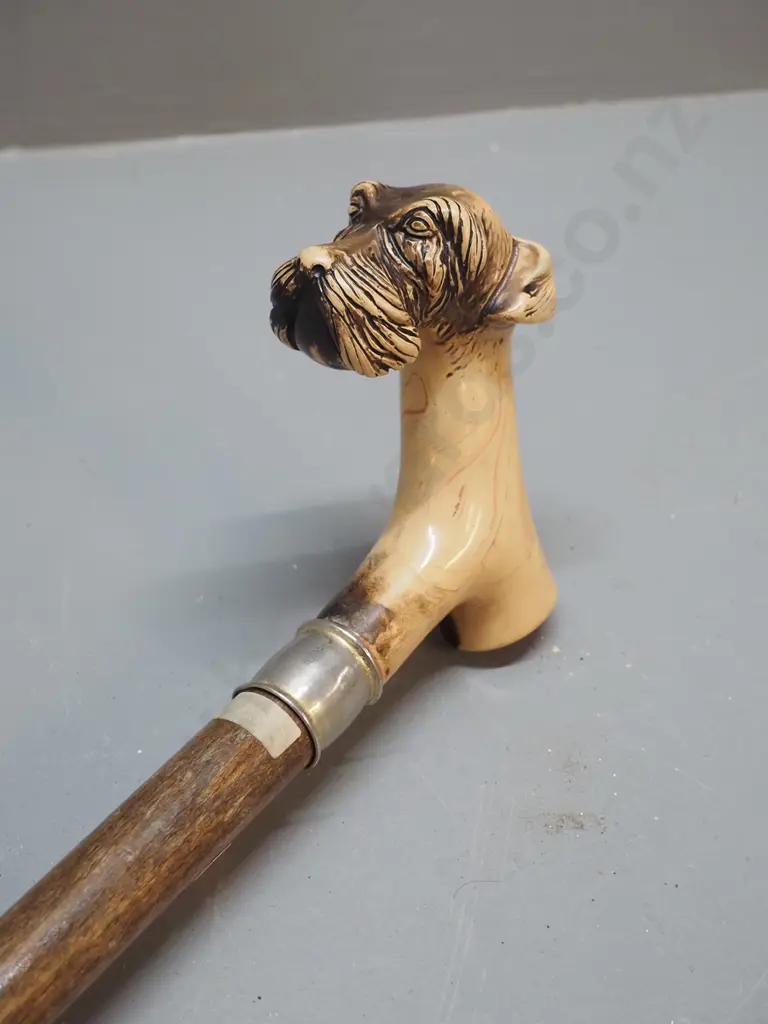 timber walking stick with silver ring and faux bone dog-themed handle - polish needs a bit of work L-830 Image 1++