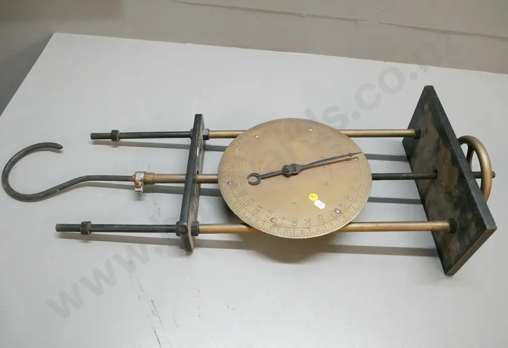 Salter heavy duty hanging spring scale - scale goes to 300 lb. H-880 W-300 Image 1++