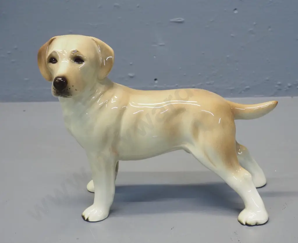 golden lab dog figure - marked Made in England H-180 L-240 Image 1++