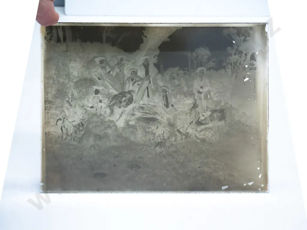 21 glass plate negatives in wooden case, full plate 160 x 215. Early Dunedin views, fire station, group photos etc. Image 1++