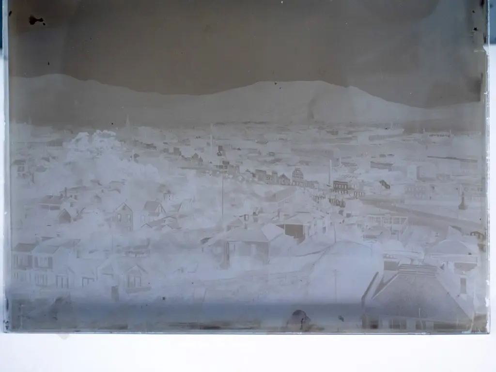 21 glass plate negatives in wooden case, full plate 160 x 215. Early Dunedin views, fire station, group photos etc. Image 1++