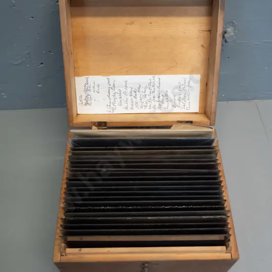 21 glass plate negatives in wooden case, full plate 160 x 215. Early Dunedin views, fire station, group photos etc.