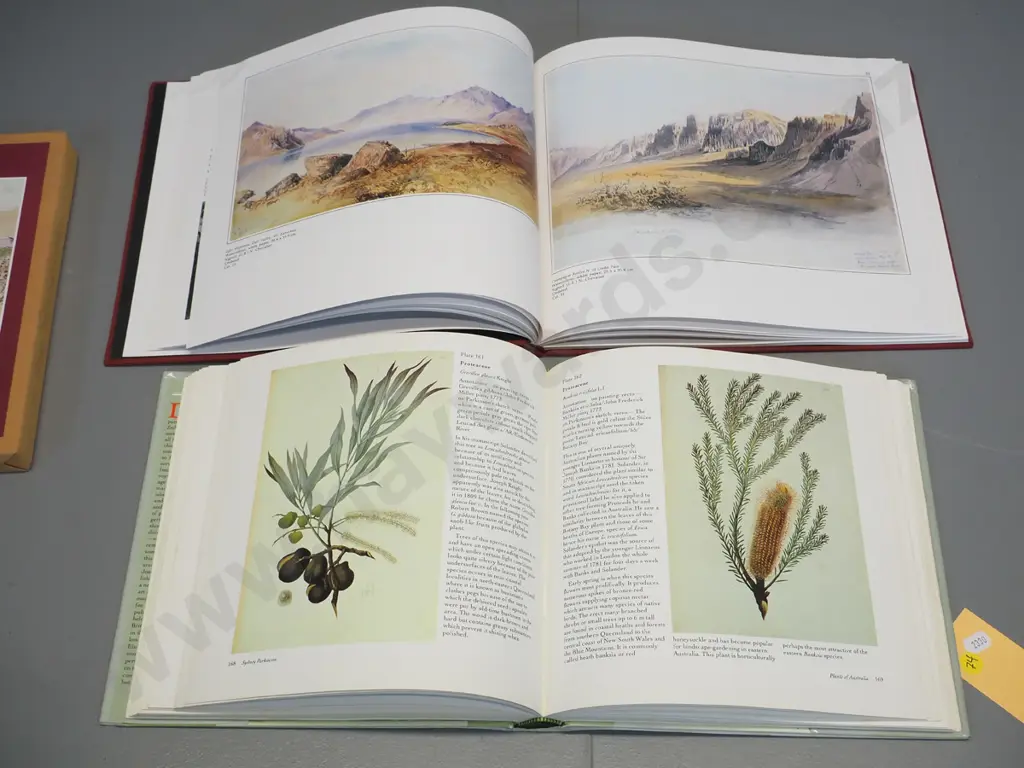 2 books: Sydney Parkinson - Artist of Cook's Endeavour (minor foxing) & Nicholas Chevalier Artist (some dented corners) Image 1++