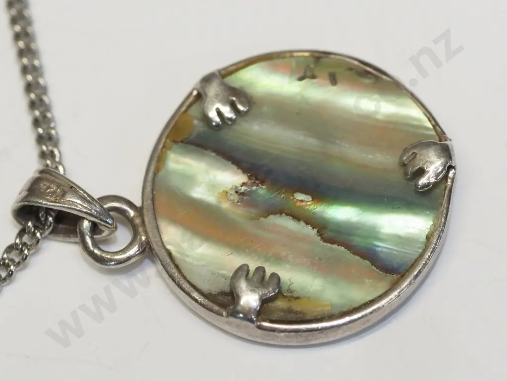 paua shell necklace & earrings Image 1++