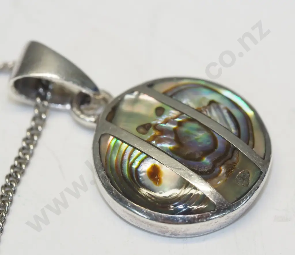 paua shell necklace & earrings Image 1++
