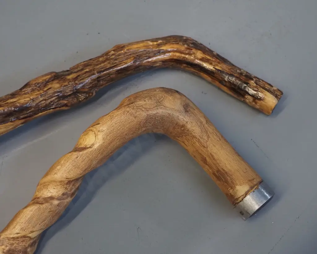 2 twisted timber walking sticks, one with steel band, longer is L940 Image 1++