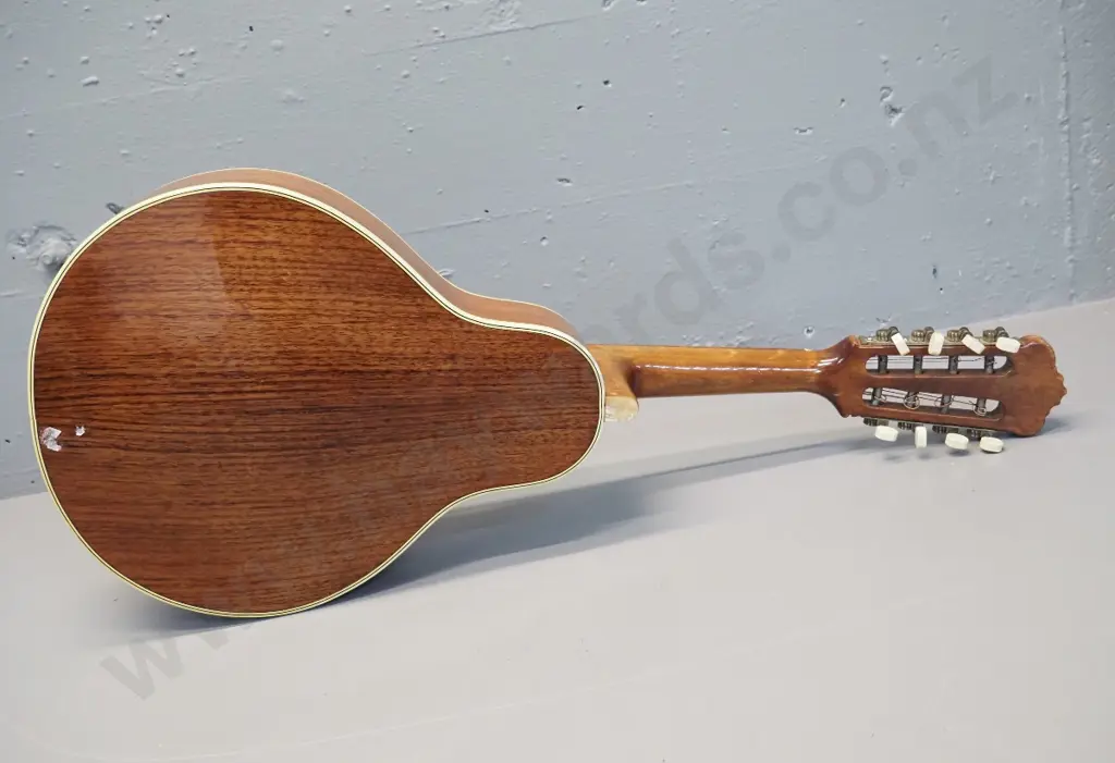 vintage mandolin - no maker's marks or labels Image 1++