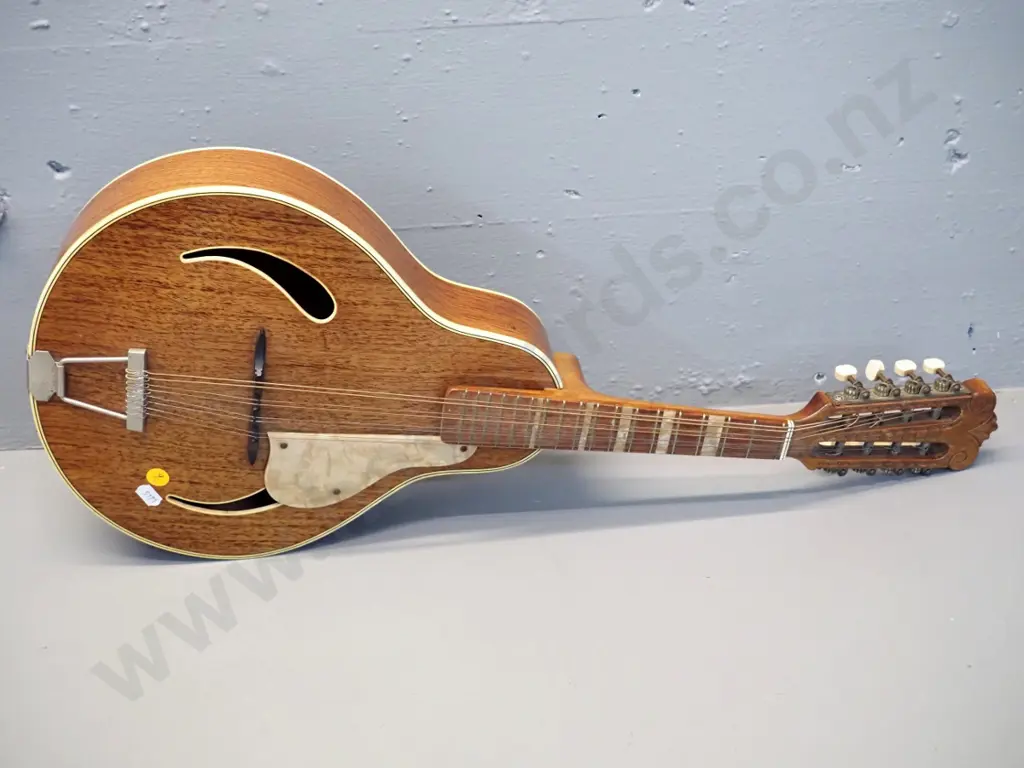 vintage mandolin - no maker's marks or labels Image 1++