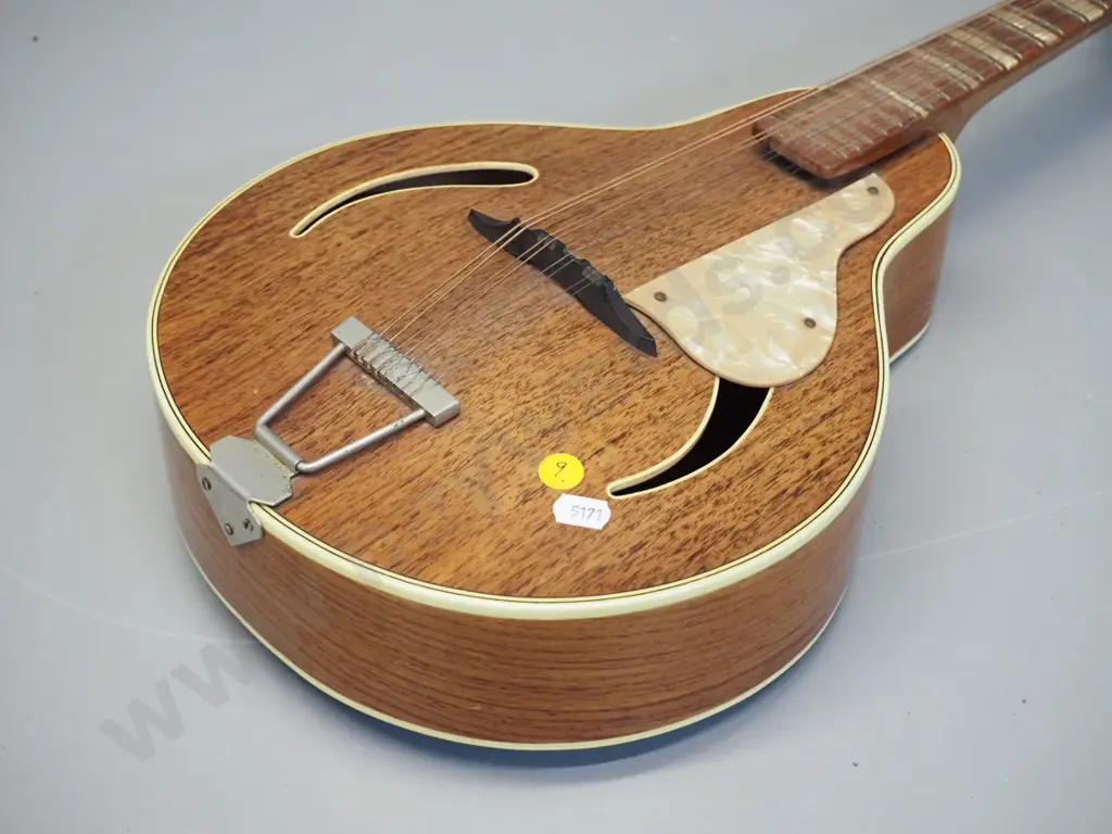 vintage mandolin - no maker's marks or labels Image 1++