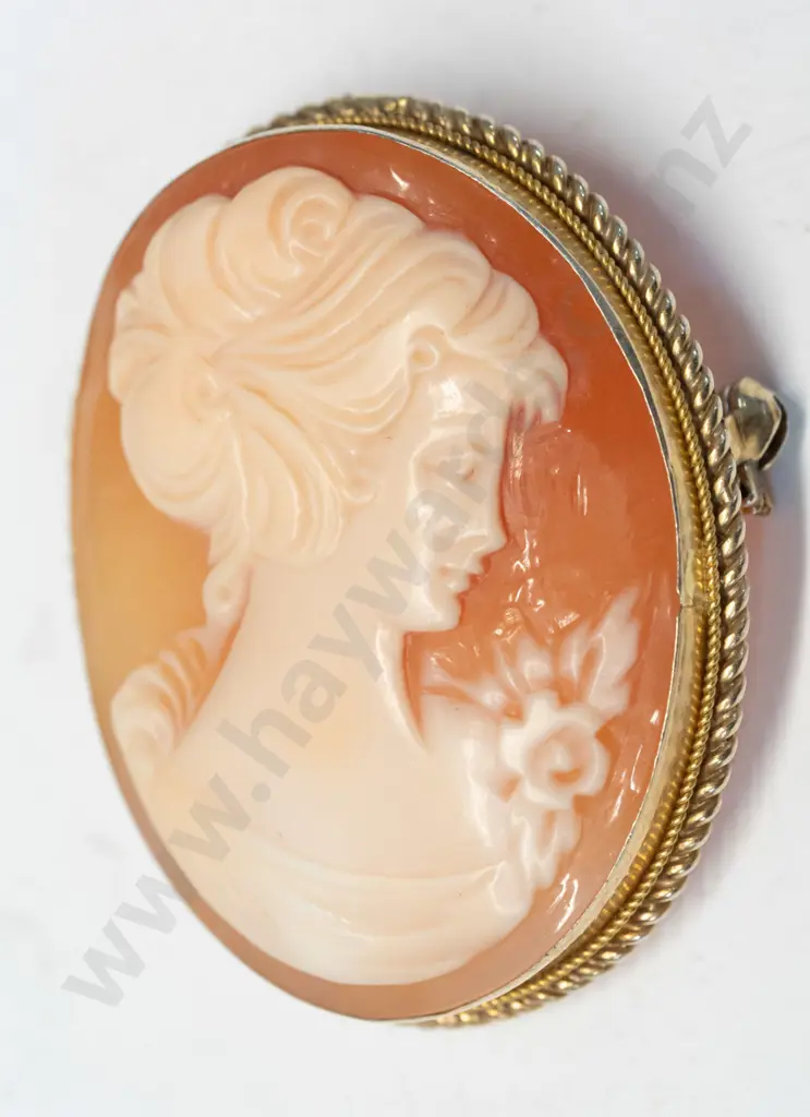 cameo brooch Image 1++