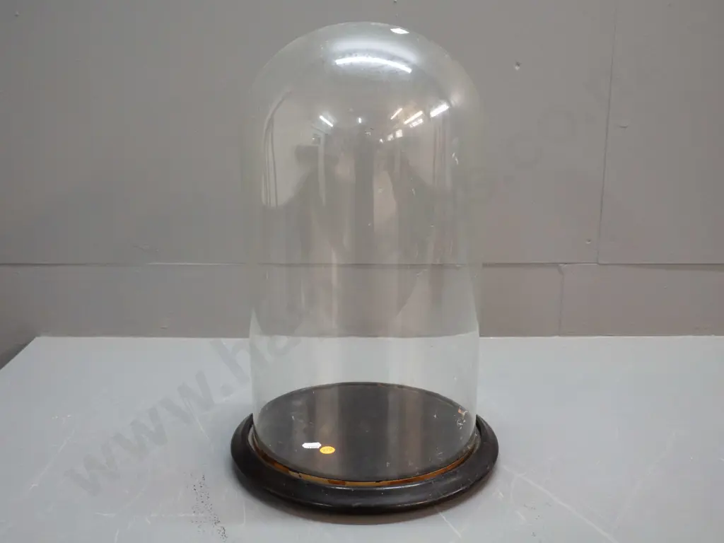 large glass display dome on wooden base - H-440 Diameter 240 Wooden base D-280 Image 1++