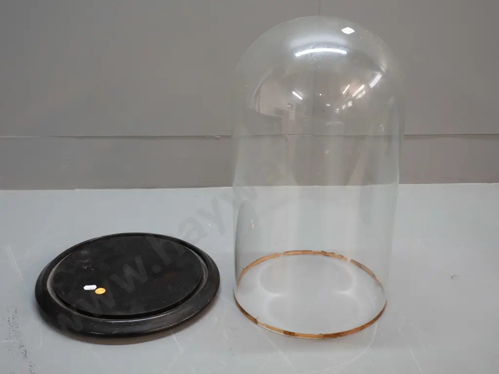 large glass display dome on wooden base - H-440 Diameter 240 Wooden base D-280 Image 1++