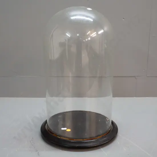 large glass display dome on wooden base - H-440 Diameter 240 Wooden base D-280