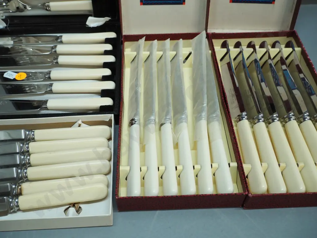 bone-handled cutlery - 2 sets of 6 dinner knives, 6 butter knives, cased set of 6 fish knives and forks Image 1++