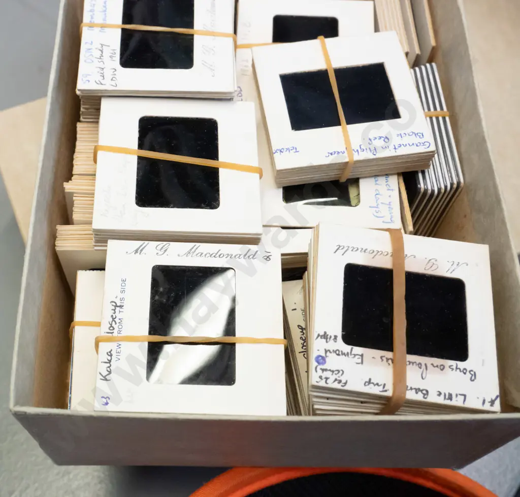 large collection of 35mm slides: NZ ornithology, landscapes, skiing, caving, steam trains, school trips etc. Image 1++